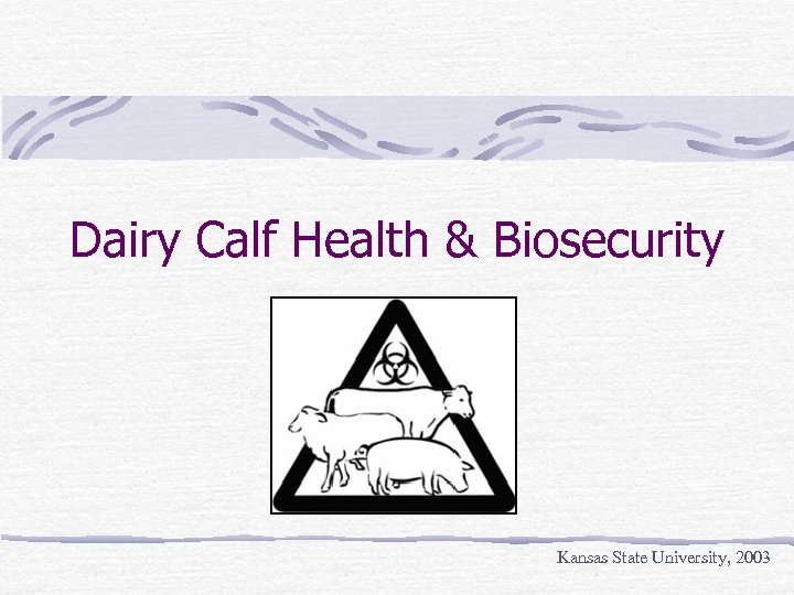 Dairy Calf Health & Biosecurity Kansas State University, 2003 