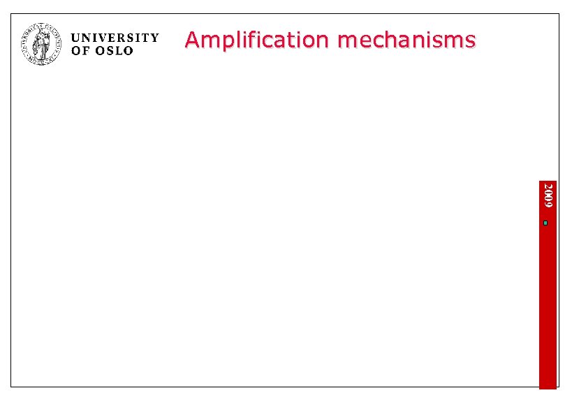 Amplification mechanisms 2009 