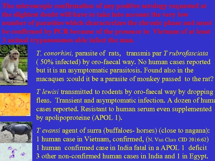 The microscopic confirmation of any positive serology requested at the slightest doubt will have