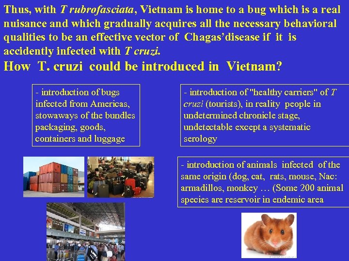 Thus, with T rubrofasciata, Vietnam is home to a bug which is a real
