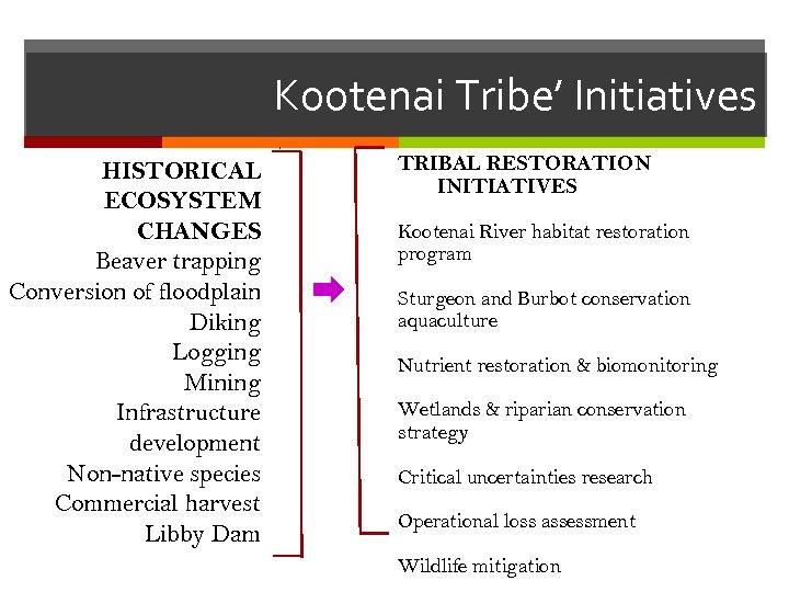 Kootenai Tribe’ Initiatives HISTORICAL ECOSYSTEM CHANGES Beaver trapping Conversion of floodplain Diking Logging Mining