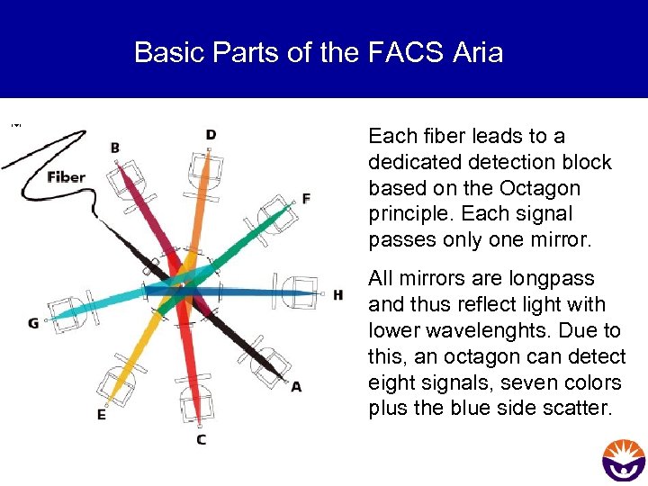 Basic Parts of the FACS Aria Each fiber leads to a dedicated detection block