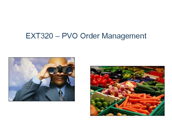 EXT 320 – PVO Order Management 