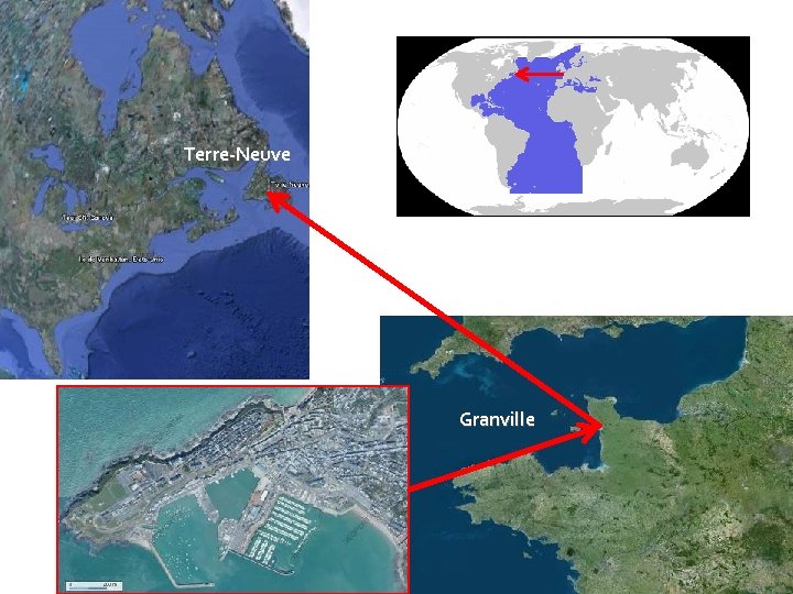 Terre-Neuve Granville 