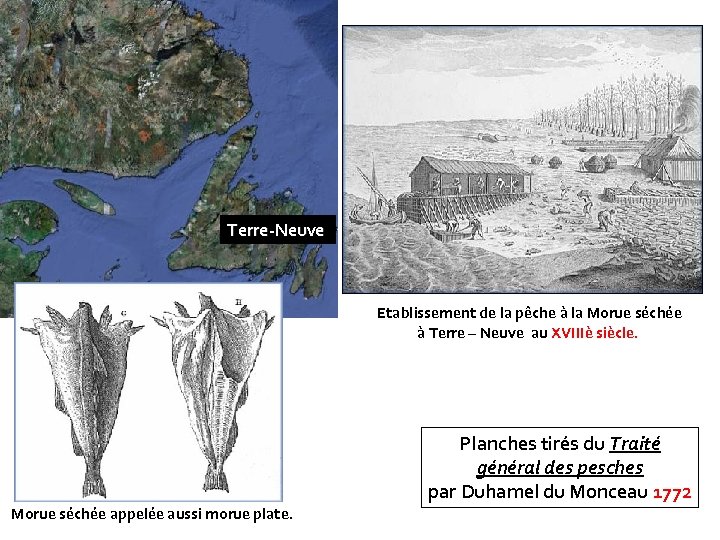 Terre-Neuve Etablissement de la pêche à la Morue séchée à Terre – Neuve au