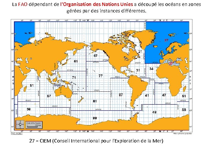 La FAO dépendant de l'Organisation des Nations Unies a découpé les océans en zones
