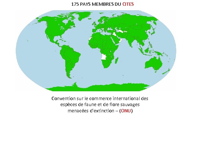 175 PAYS MEMBRES DU CITES Convention sur le commerce international des espèces de faune