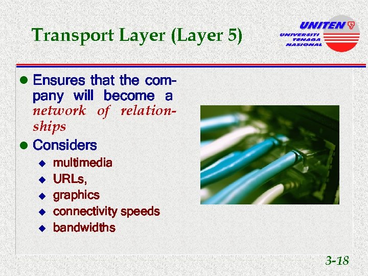 Transport Layer (Layer 5) l Ensures that the com- pany will become a network