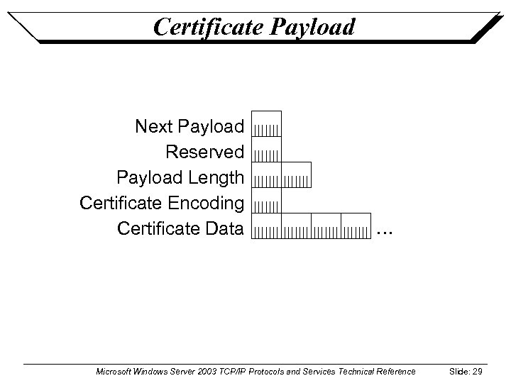 Certificate Payload Next Payload Reserved Payload Length Certificate Encoding Certificate Data … Microsoft Windows