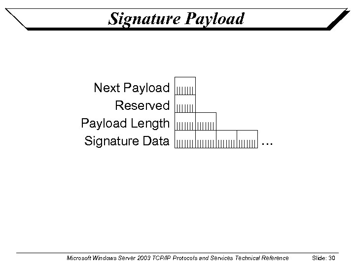 Signature Payload Next Payload Reserved Payload Length Signature Data … Microsoft Windows Server 2003