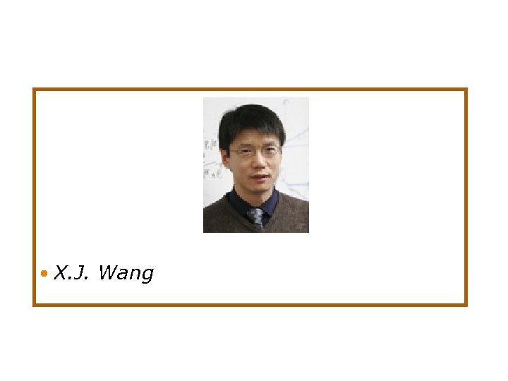  X. J. Wang 