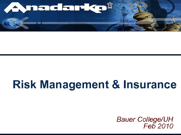 Risk Management & Insurance Bauer College/UH Feb 2010 