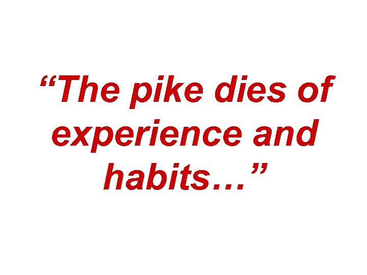 “The pike dies of experience and habits…” 