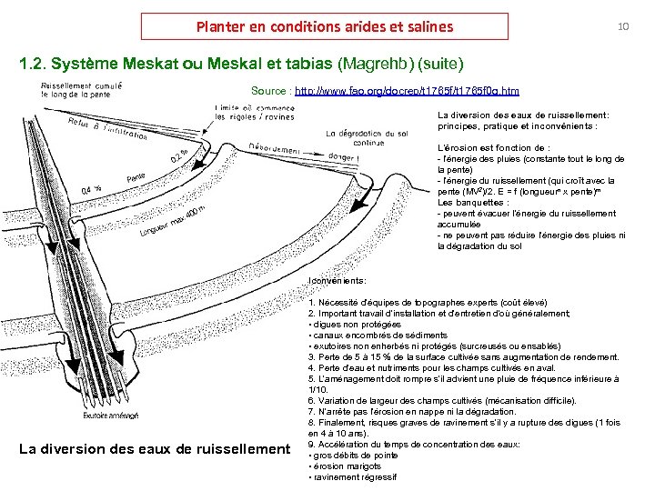 Planter en conditions arides et salines 10 1. 2. Système Meskat ou Meskal et