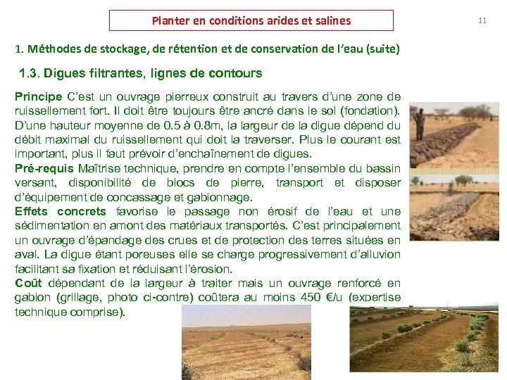 Planter en conditions arides et salines 1. Méthodes de stockage, de rétention et de