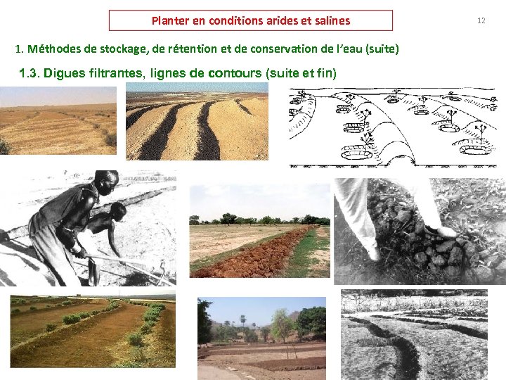 Planter en conditions arides et salines 1. Méthodes de stockage, de rétention et de