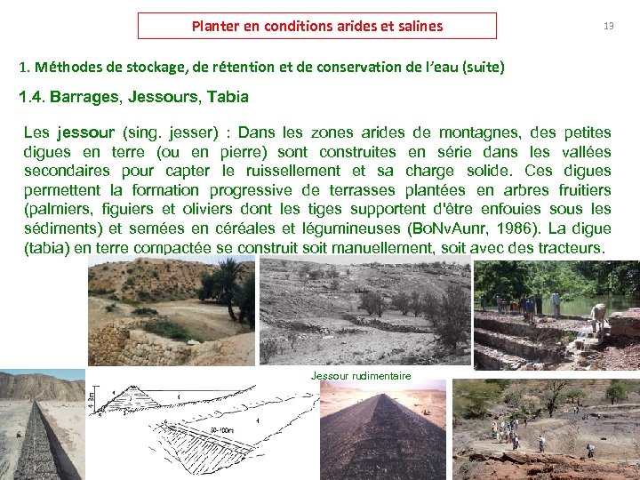 Planter en conditions arides et salines 13 1. Méthodes de stockage, de rétention et