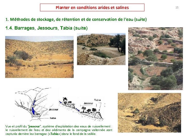 Planter en conditions arides et salines 1. Méthodes de stockage, de rétention et de