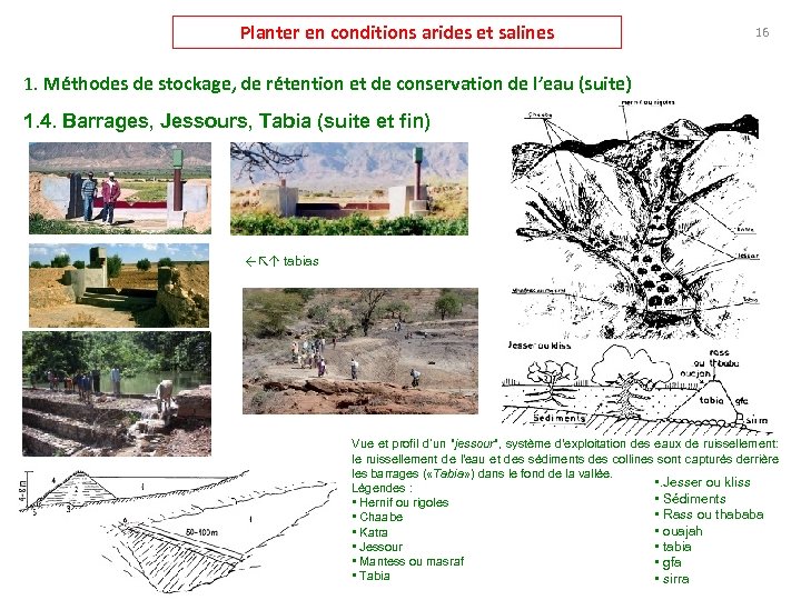 Planter en conditions arides et salines 16 1. Méthodes de stockage, de rétention et