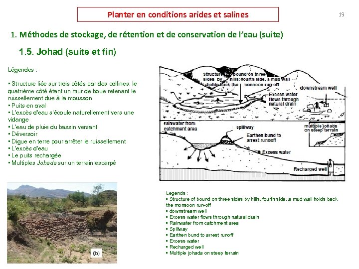 Planter en conditions arides et salines 19 1. Méthodes de stockage, de rétention et