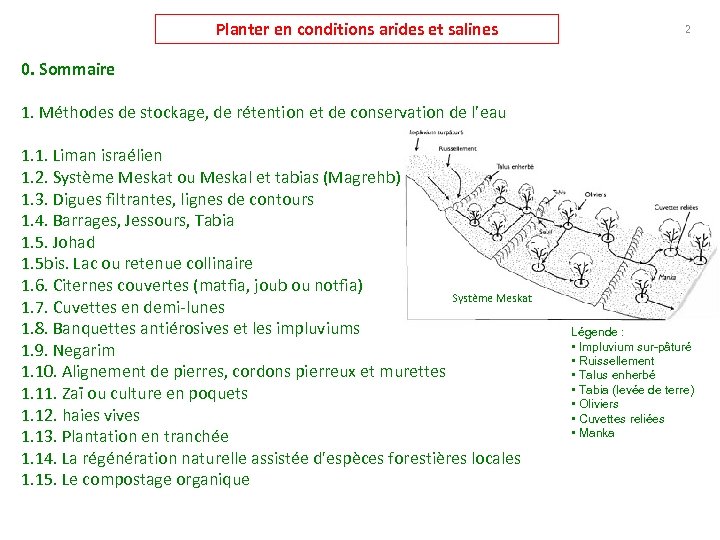 Planter en conditions arides et salines 2 0. Sommaire 1. Méthodes de stockage, de