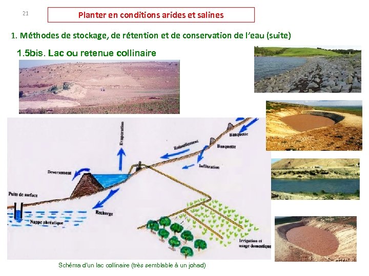 21 Planter en conditions arides et salines 1. Méthodes de stockage, de rétention et