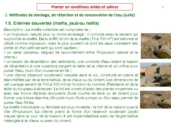 Planter en conditions arides et salines 1. Méthodes de stockage, de rétention et de