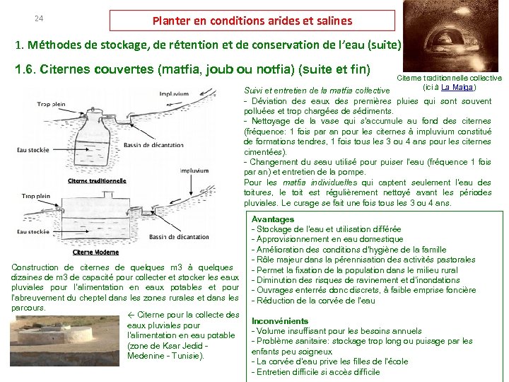 24 Planter en conditions arides et salines 1. Méthodes de stockage, de rétention et