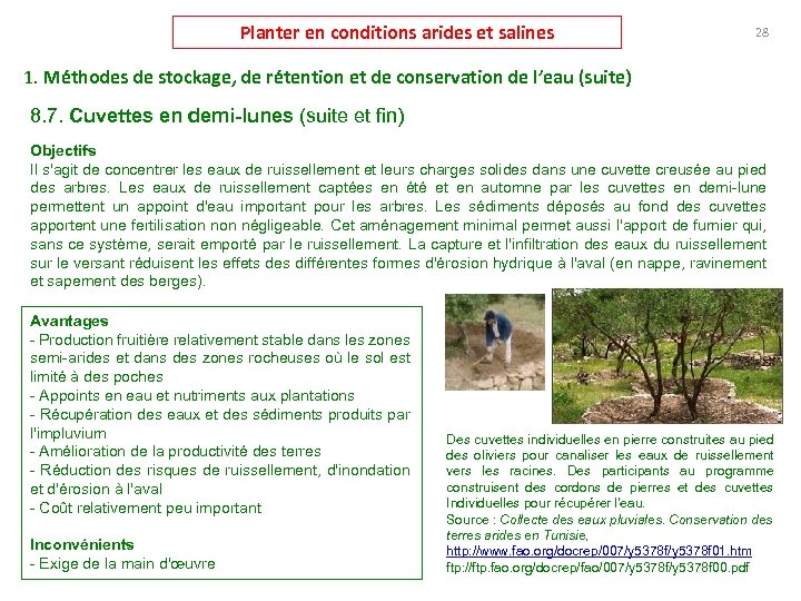 Planter en conditions arides et salines 28 1. Méthodes de stockage, de rétention et