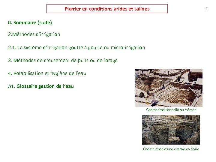 Planter en conditions arides et salines 0. Sommaire (suite) 2. Méthodes d’irrigation 2. 1.