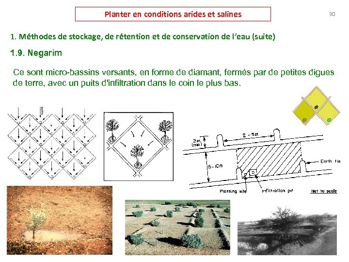 Planter en conditions arides et salines 30 1. Méthodes de stockage, de rétention et