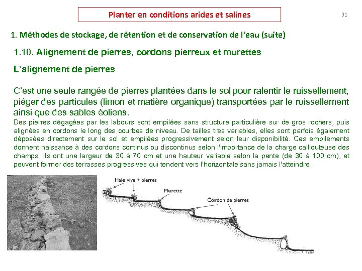 Planter en conditions arides et salines 31 1. Méthodes de stockage, de rétention et