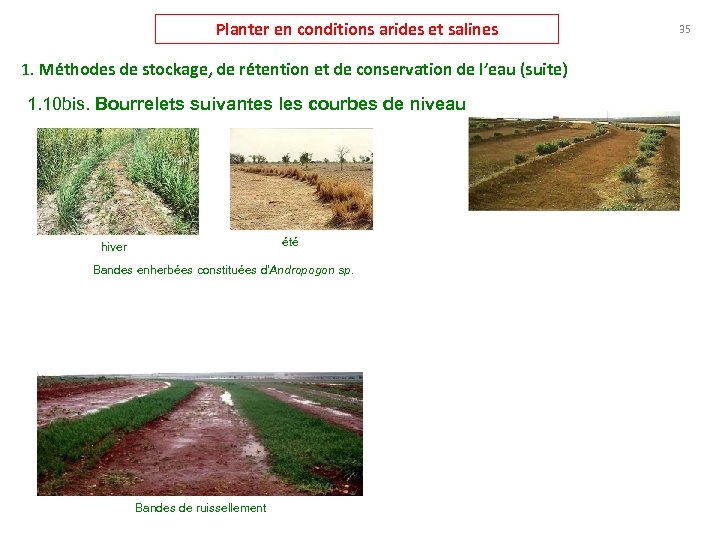 Planter en conditions arides et salines 1. Méthodes de stockage, de rétention et de