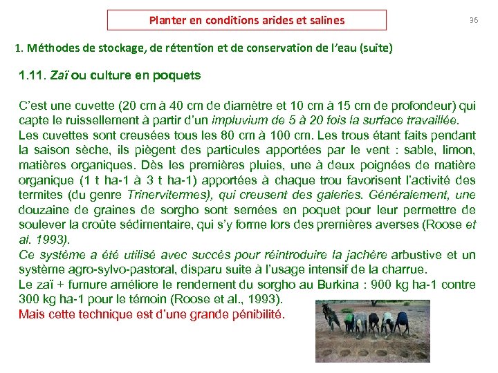 Planter en conditions arides et salines 36 1. Méthodes de stockage, de rétention et