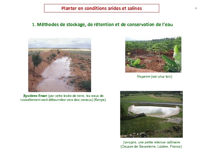Planter en conditions arides et salines 1. Méthodes de stockage, de rétention et de