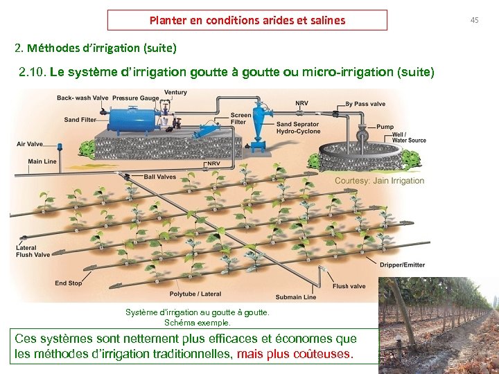 Planter en conditions arides et salines 2. Méthodes d’irrigation (suite) 2. 10. Le système