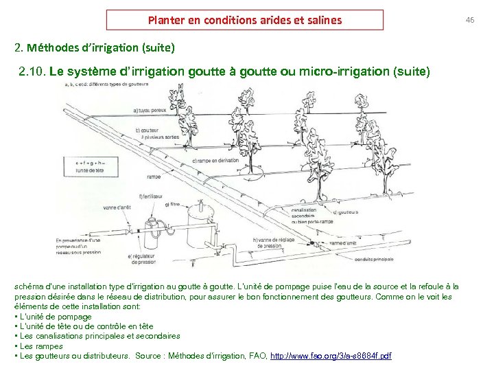 Planter en conditions arides et salines 2. Méthodes d’irrigation (suite) 2. 10. Le système