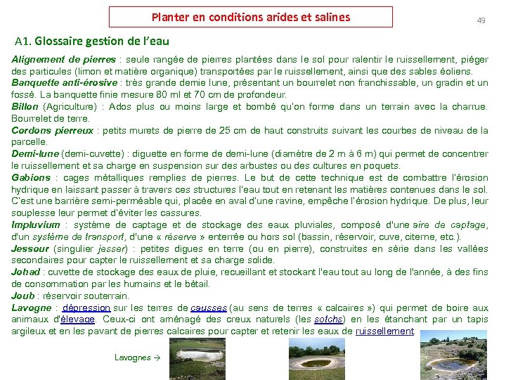 Planter en conditions arides et salines 49 A 1. Glossaire gestion de l’eau Alignement