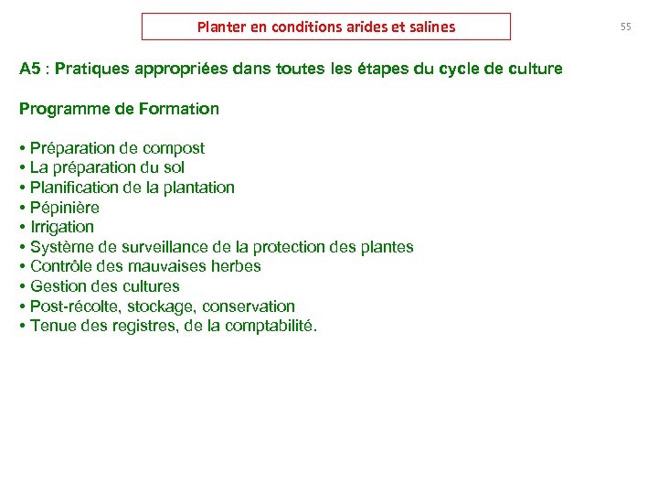 Planter en conditions arides et salines A 5 : Pratiques appropriées dans toutes les
