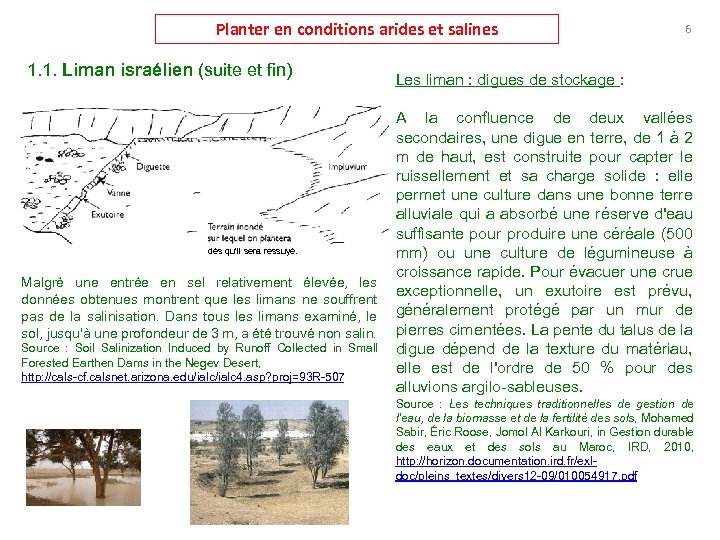 Planter en conditions arides et salines 1. 1. Liman israélien (suite et fin) dès