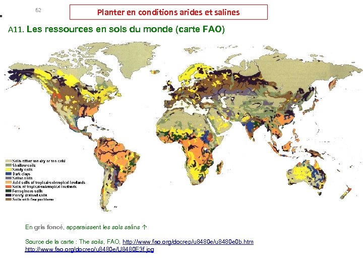 62 Planter en conditions arides et salines A 11. Les ressources en sols du