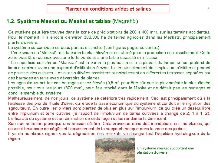 Planter en conditions arides et salines 7 1. 2. Système Meskat ou Meskal et
