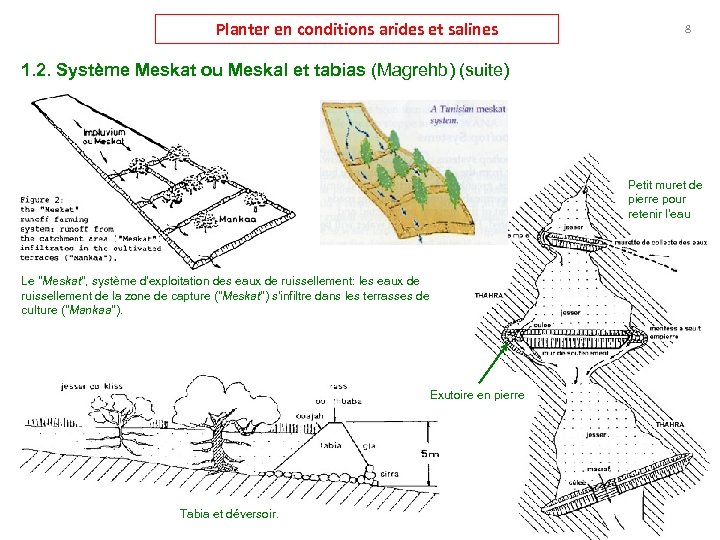 Planter en conditions arides et salines 8 1. 2. Système Meskat ou Meskal et