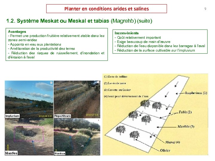 Planter en conditions arides et salines 9 1. 2. Système Meskat ou Meskal et