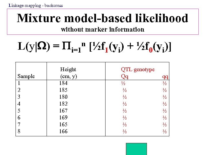 Linkage mapping - backcross Mixture model-based likelihood without marker information L(y| ) = i=1