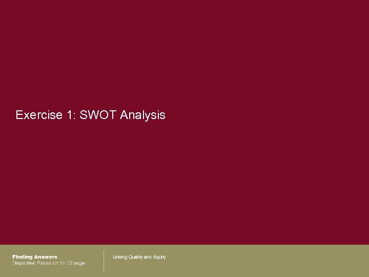 Exercise 1: SWOT Analysis Linking Quality and Equity 