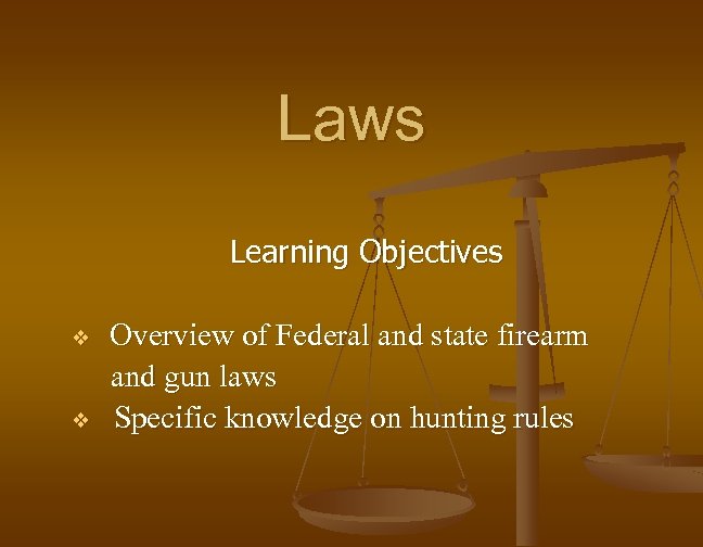 Laws Learning Objectives v v Overview of Federal and state firearm and gun laws