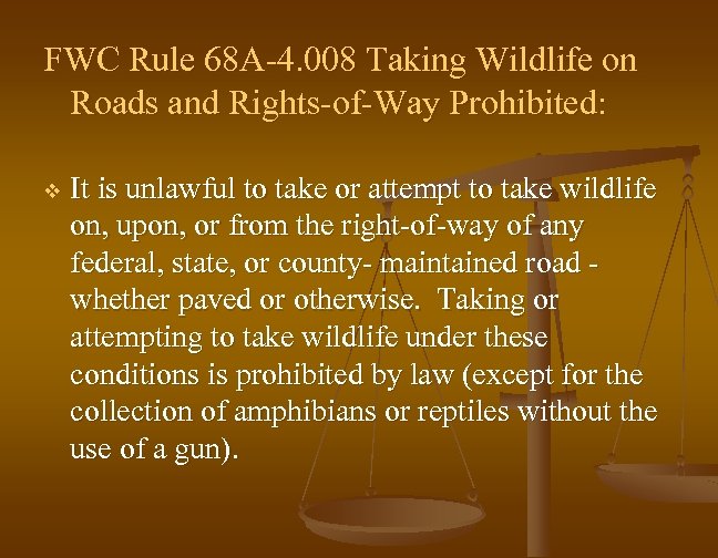 FWC Rule 68 A 4. 008 Taking Wildlife on Roads and Rights of Way