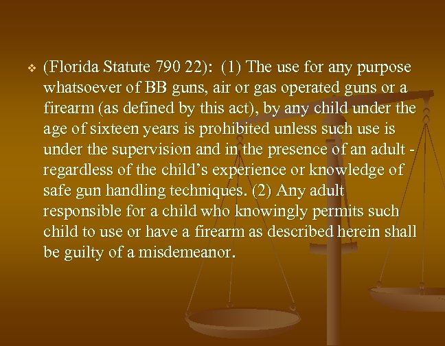 v (Florida Statute 790 22): (1) The use for any purpose whatsoever of BB