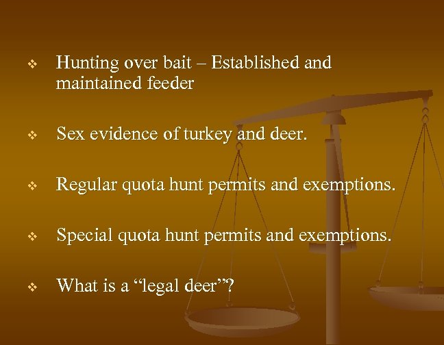 v Hunting over bait – Established and maintained feeder v Sex evidence of turkey